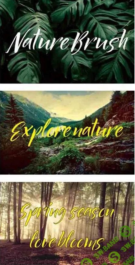 Nature Brush Font