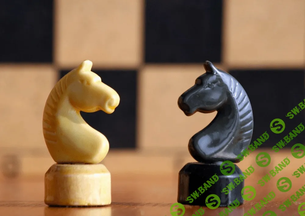 Научитесь думать, как шахматист. И тогда вы сможете построить успешную компанию