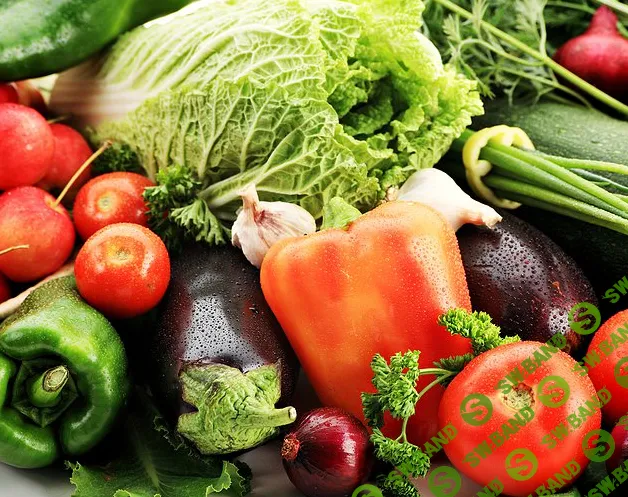 [Негробов] Грядки на асфальте