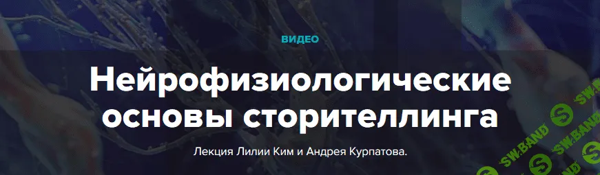 Нейрофизиологические основы сторителлинга