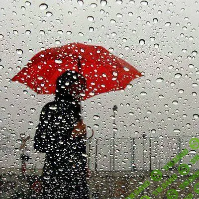 Невидимое одиночество [Институт Открытого поля] [Мария Беликова]