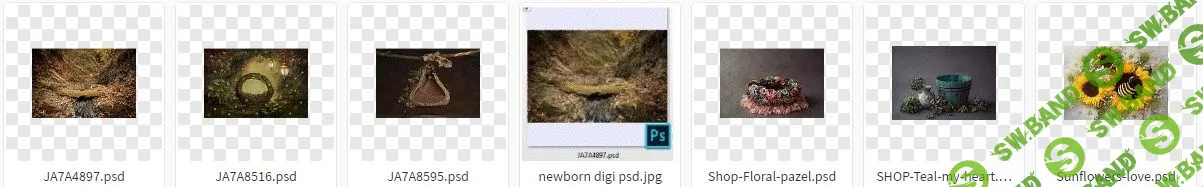 [newborn psd] Новорожденные наложения -3