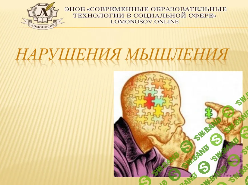 [НИИДПО] Нарушение мышления (2015)