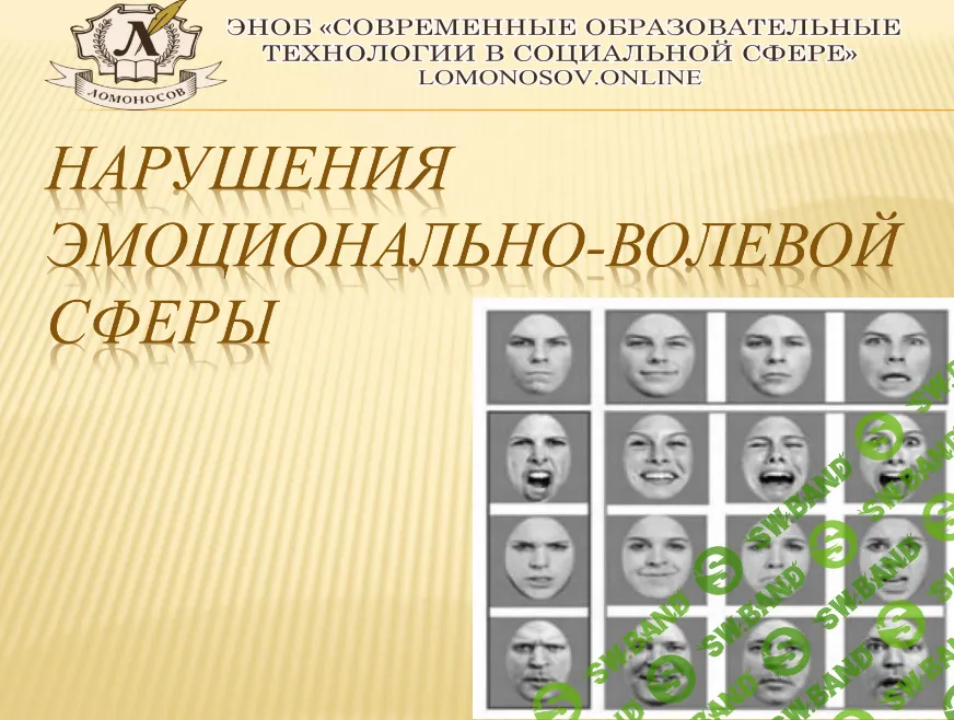 [НИИДПО] Нарушения эмоционально-волевой сферы (2015)