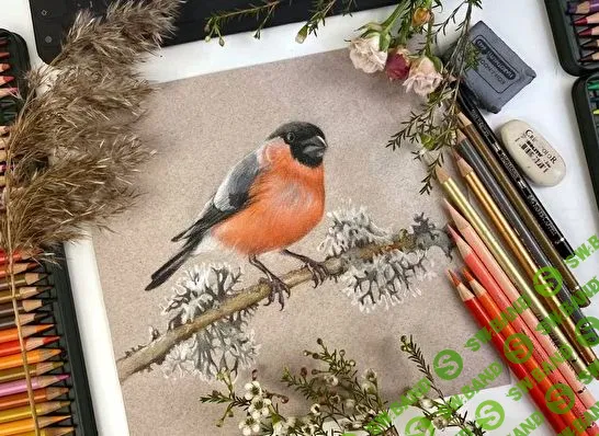 [Ника Собрекова] Разноцветный реализм (2022)