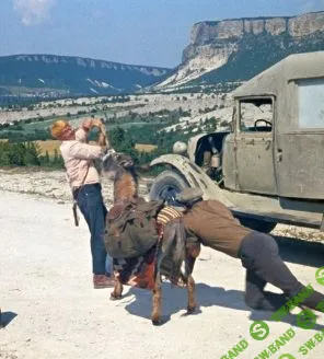 [Никита Карпов] Родительские требования (2021)