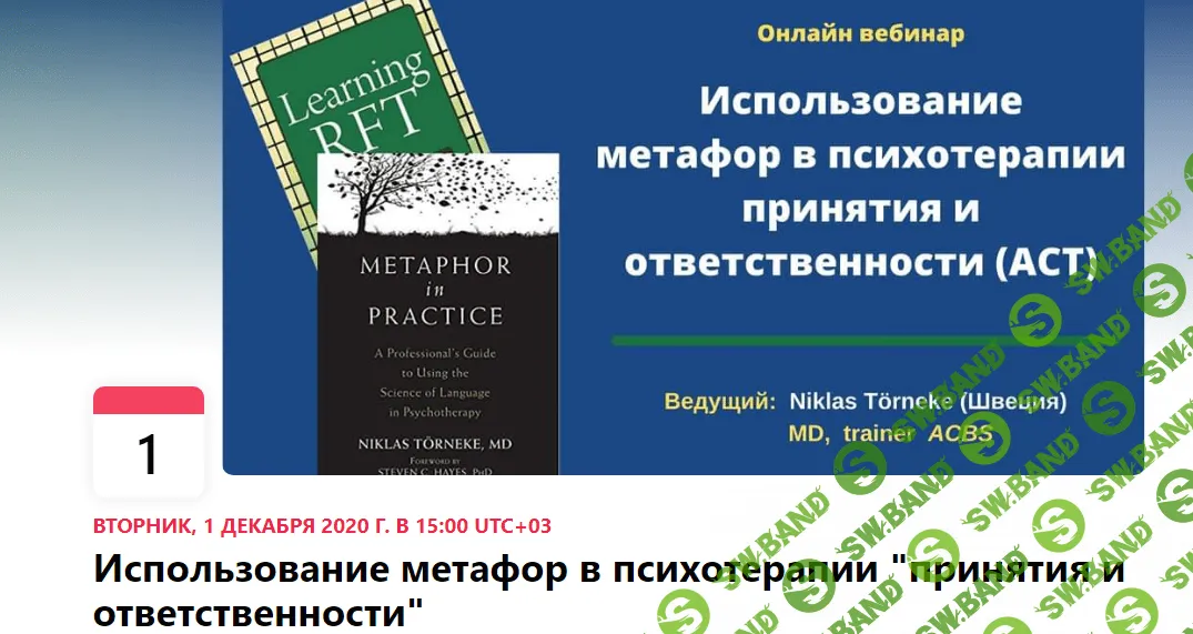 [Никлас Торнеке] Использование метафор в психотерапии принятия и ответственности ACT (2020)