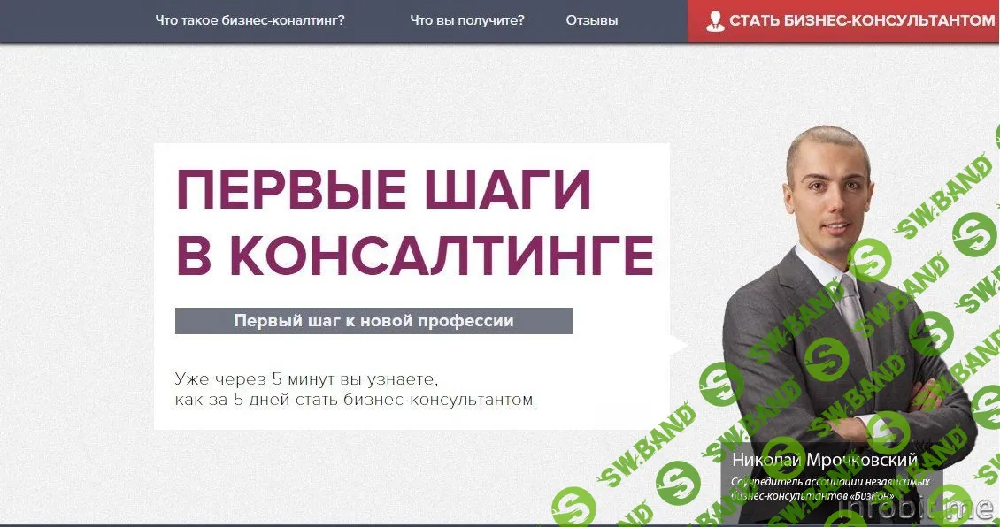 [Николай Мрочковский] Первые шаги в консалтинге (2014)