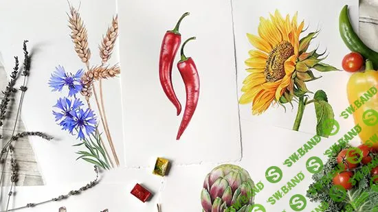 [Нина Петровская] Осенняя ботаника. Урожай. [art-creativity]