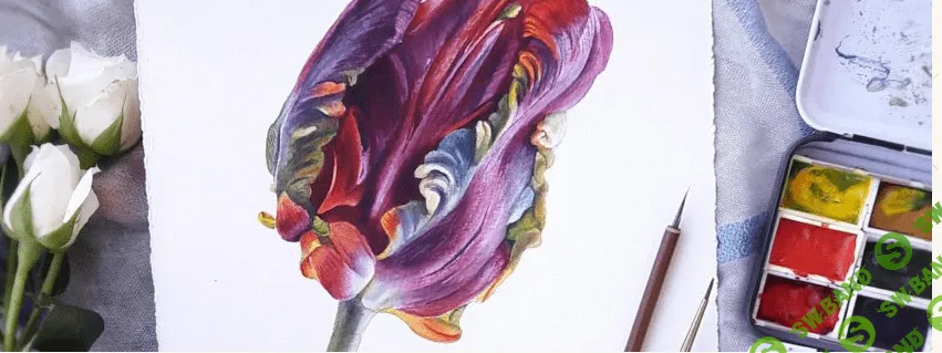 [Нина Петровская] От скетча к ботанике (2018)