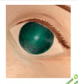 [Нина Рубштейн] Как понять любого и быть понятым другими. Поиск общего языка