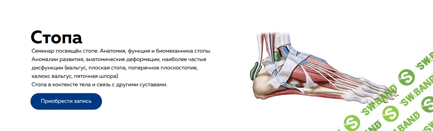 [NL-School] [Дмитрий Кущик, Григорий Крутов] Cтопа (2022)
