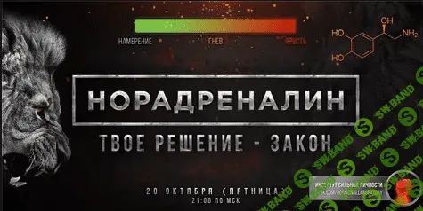 Норадреналин. Твое решение - закон (2017)