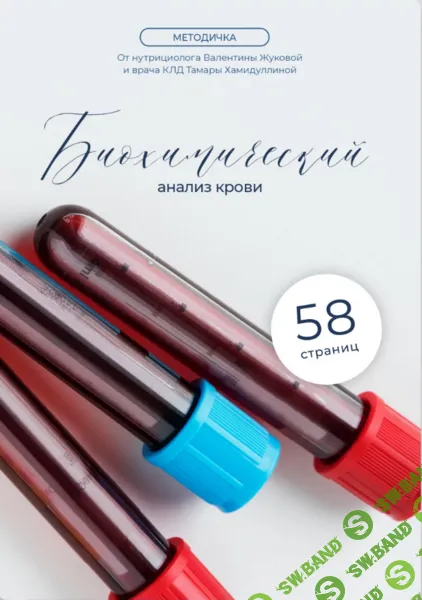 [nutriciolog_zhukova] Методичка «Биохимический анализ крови» (2024)