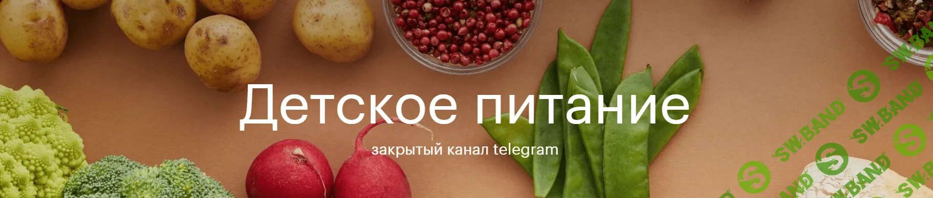 [nutriciolog_zhukova, Валентина Жукова] Детское питание (2023)