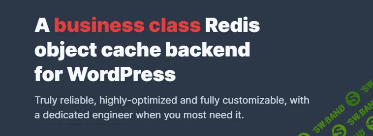[Objectcache] Redis Cache Pro v1.13.1 (2021)