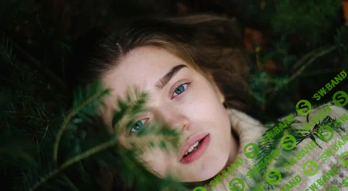 Общение с деревьями: практика для 5 органов чувств