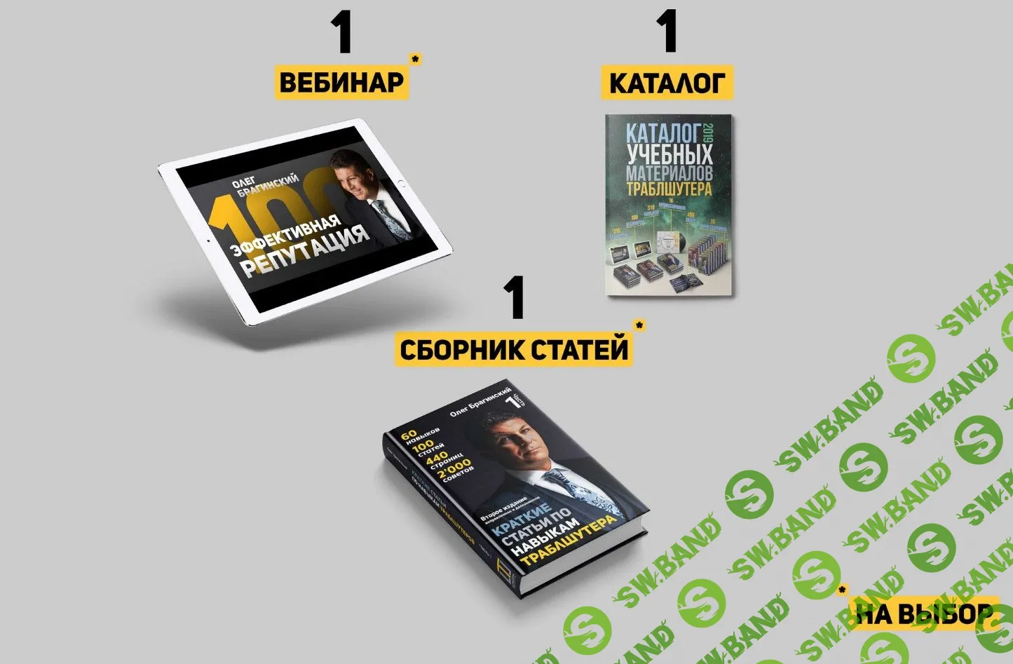 [Олег Брагинский] Комплект Траблшутера. Набор адепта (2019)