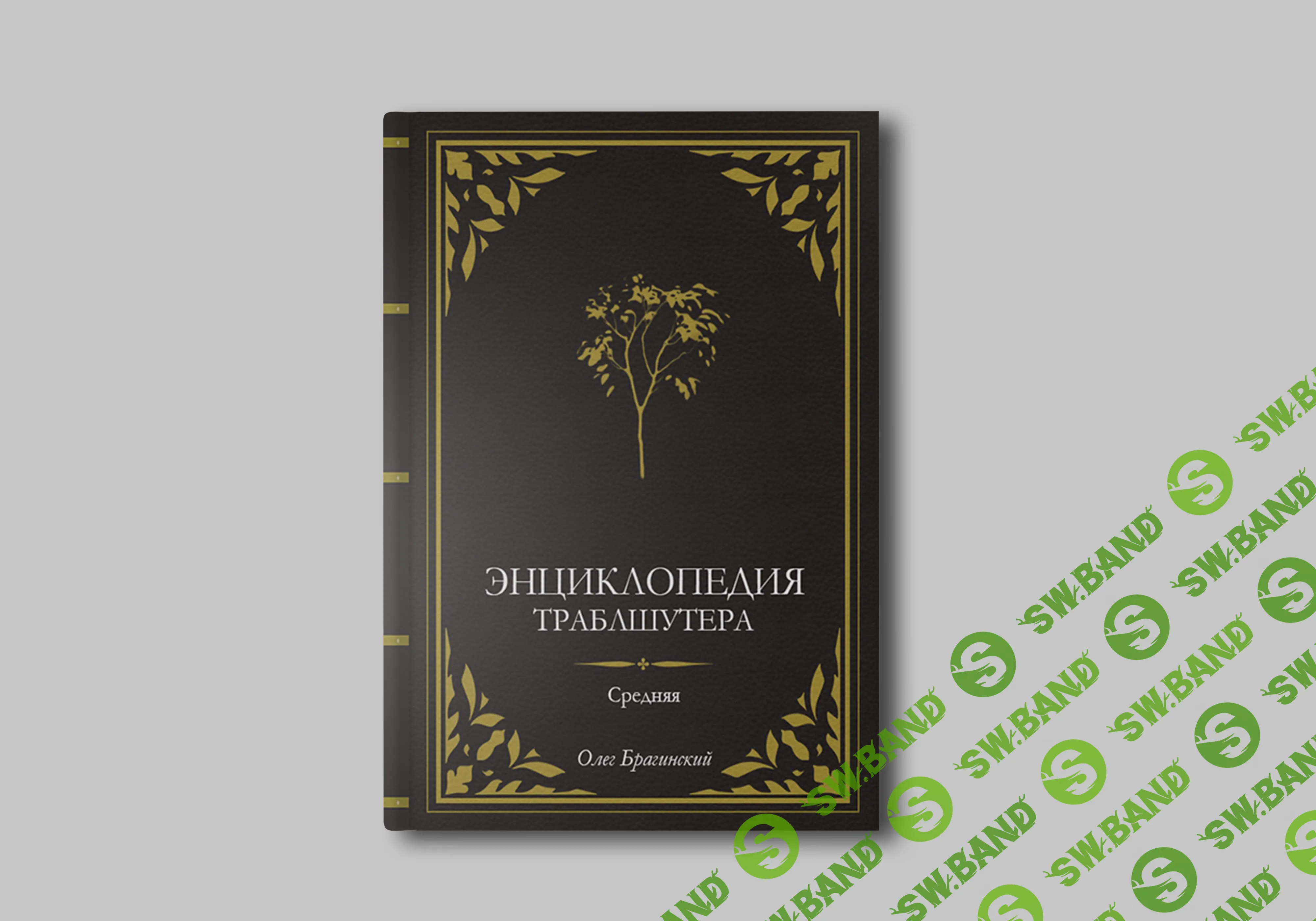 [Олег Брагинский] Средняя энциклопедия траблшутера (2019)