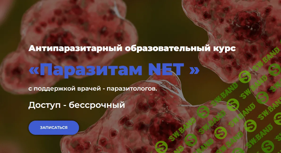 [Олег Лоскутов, Лали Бацикадзе] Паразитам NET (2023)