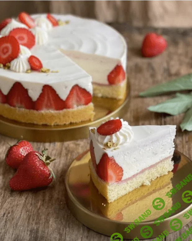 [Ольга Богатова] Клубничный мраморный чизкейк (2023)