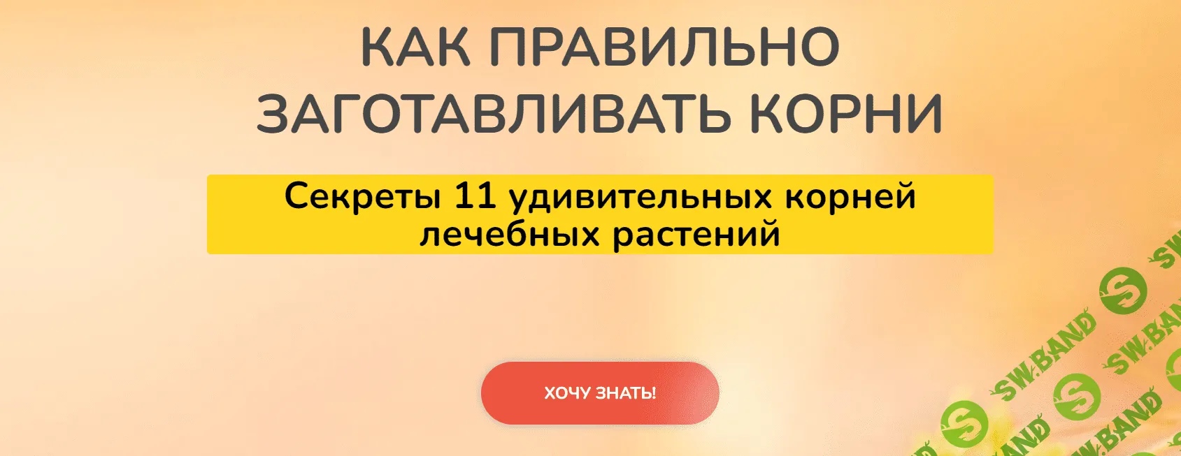[Ольга Данилюк] Как правильно заготавливать корни. Секреты 11 удивительных корней (2023)