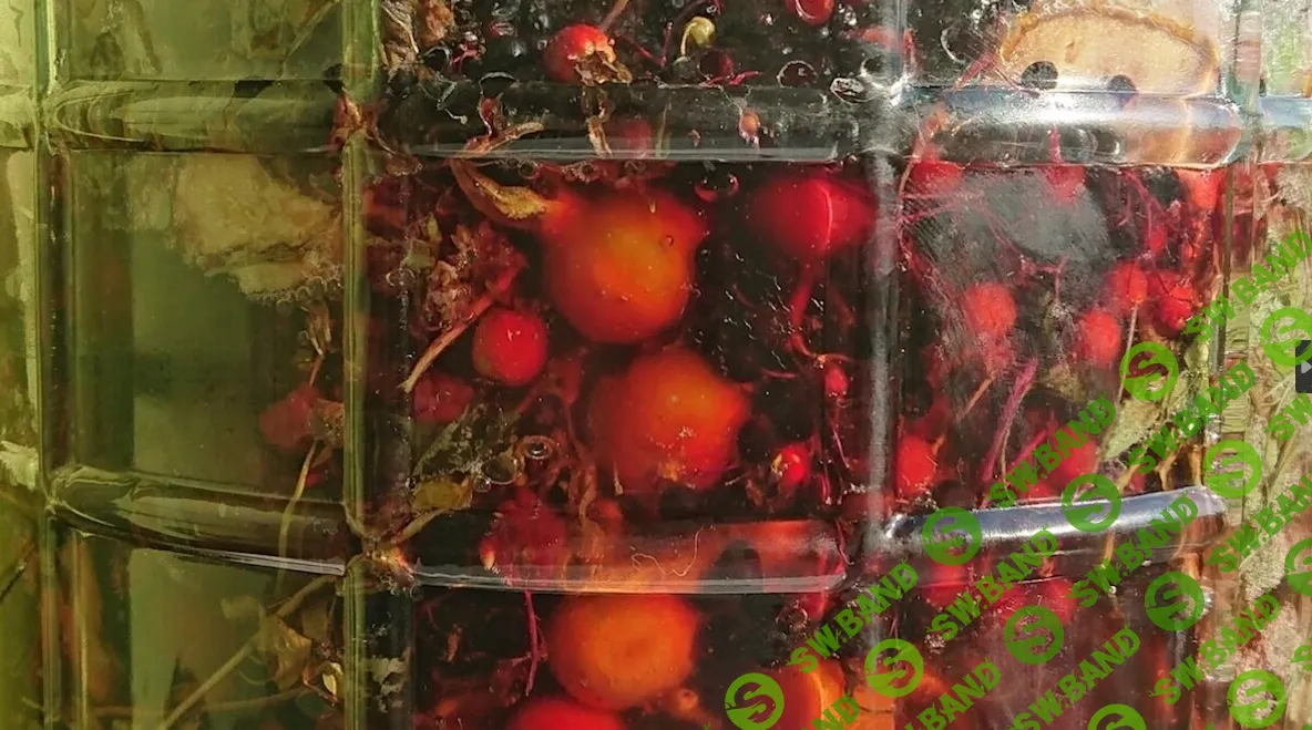 [Ольга Данилюк] Творим Сурицу (2024)