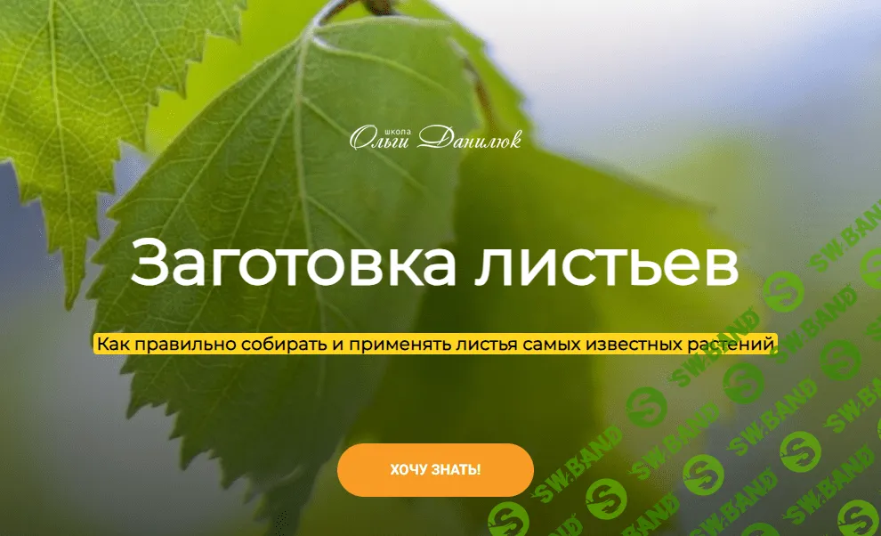 [Ольга Данилюк] Заготовка листьев (2023)