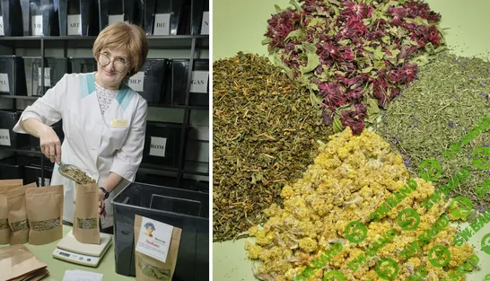 [Ольга Данилюк] Закрытый клуб Ольги Данилюк (ноябрь 2025)