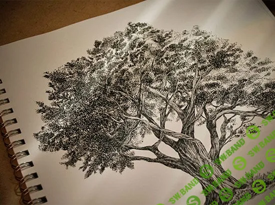 [Ольга Добрянская] Рисунок Судьбы (2017)