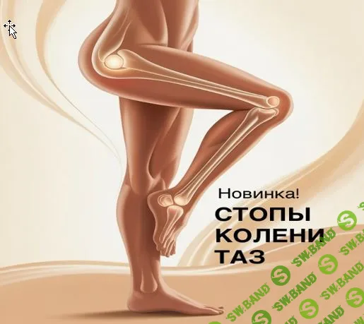 [Ольга Дробышева] Стопы, колени, таз (2025)