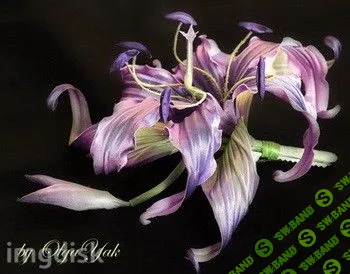 [Ольга Якимова] Обалденная красота