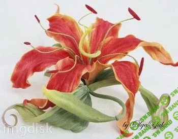 [Ольга Якимова] Обалденная красота