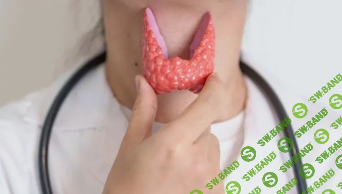 [Ольга Ковган] Щитовидная железа. Новое в терапии. Определяем и устраняем проблемы с щитовидкой (2025)