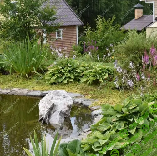 [Ольга Красулина] Создание малоуходных цветников (2022)