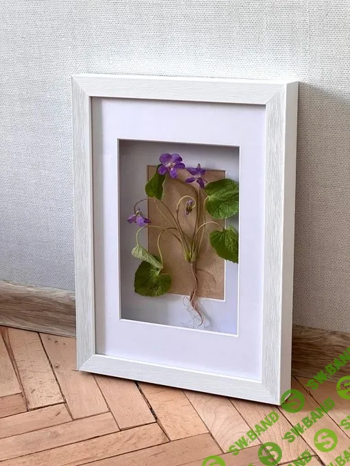 [Ольга Мубаракшина] Фиалки (2024)