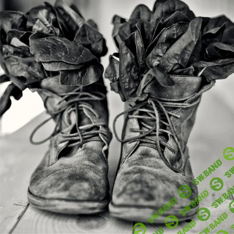 [Ольга Паволга] Черно-белая фотография. Фотосъемка и обработка (2020)