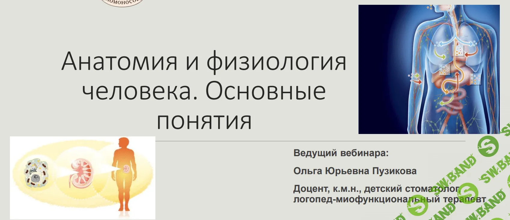 [Ольга Пузикова] Анатомия и физиология человека. Основные понятия (2017)