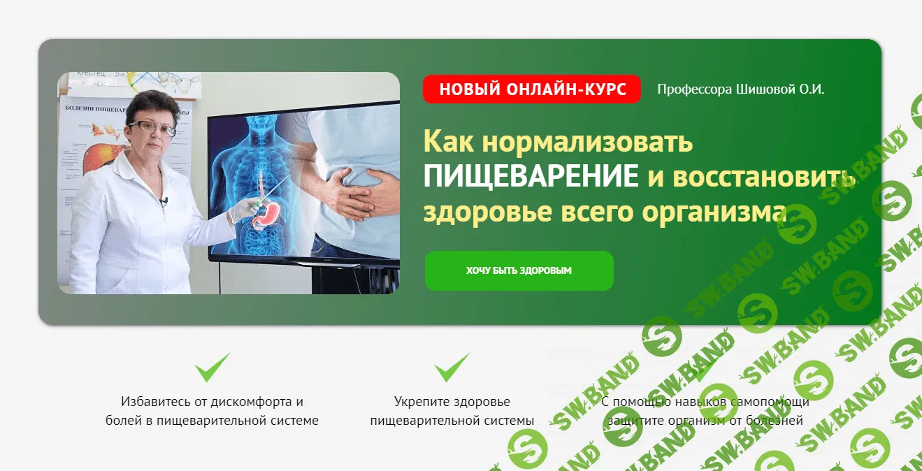 [Ольга Шишова] Как нормализовать пищеварение и восстановить здоровье всего организма (2023)