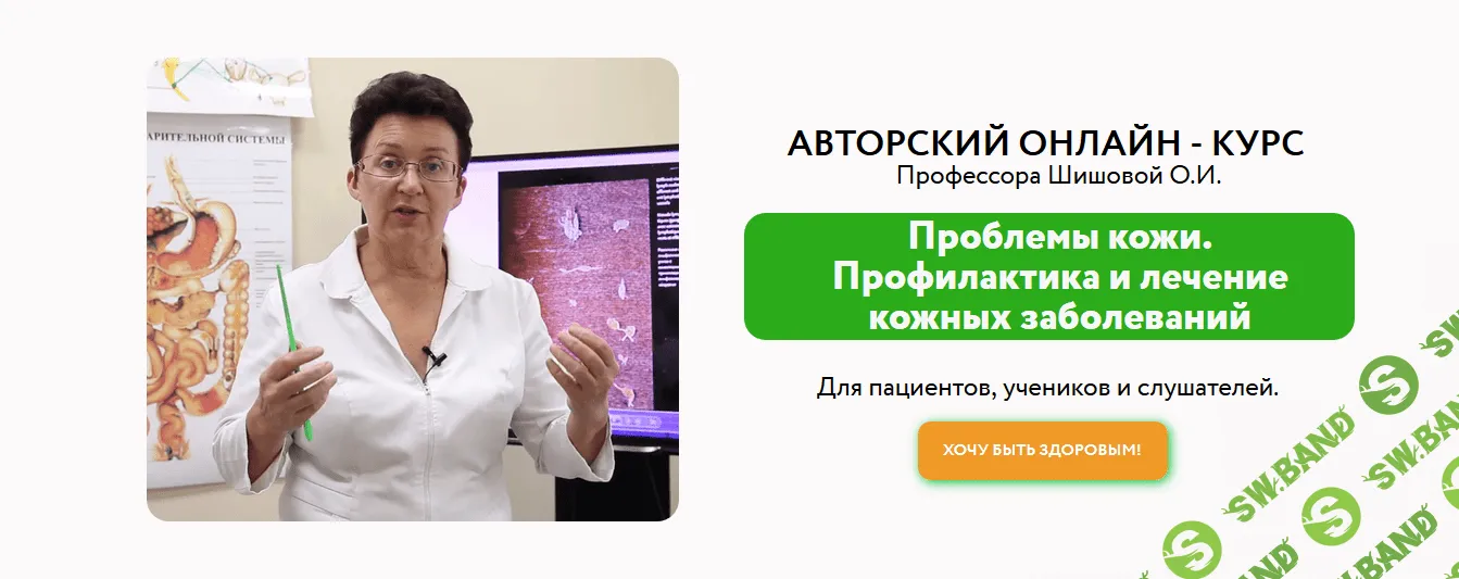 [Ольга Шишова] Проблемы кожи. Профилактика и лечение кожных заболеваний (2019)