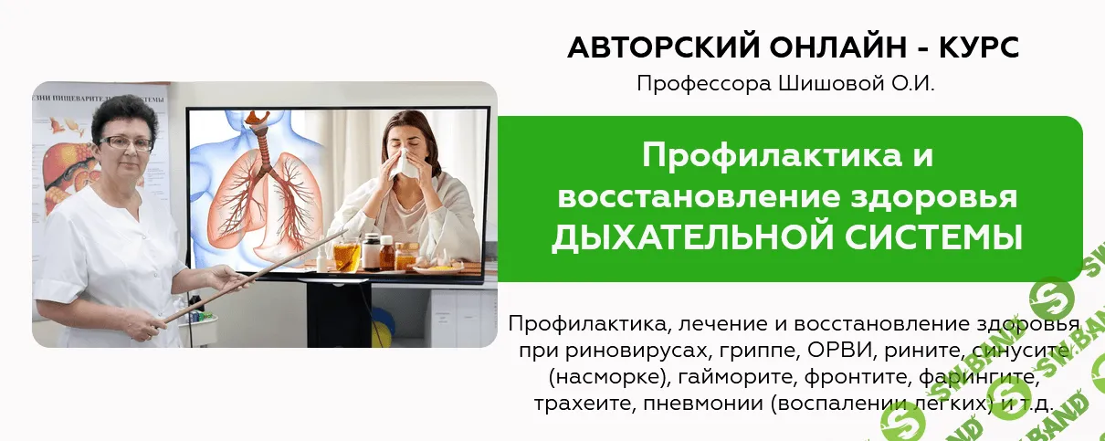 [Ольга Шишова] Профилактика и лечение заболеваний дыхательной системы (2021)