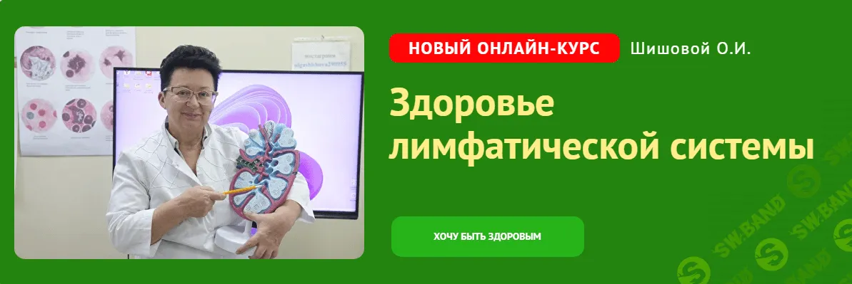 [Ольга Шишова] Здоровье лимфатической системы (2023)