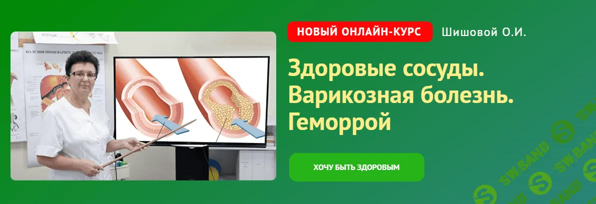 [Ольга Шишова] Здоровые сосуды. Варикозная болезнь. Геморрой (2024)