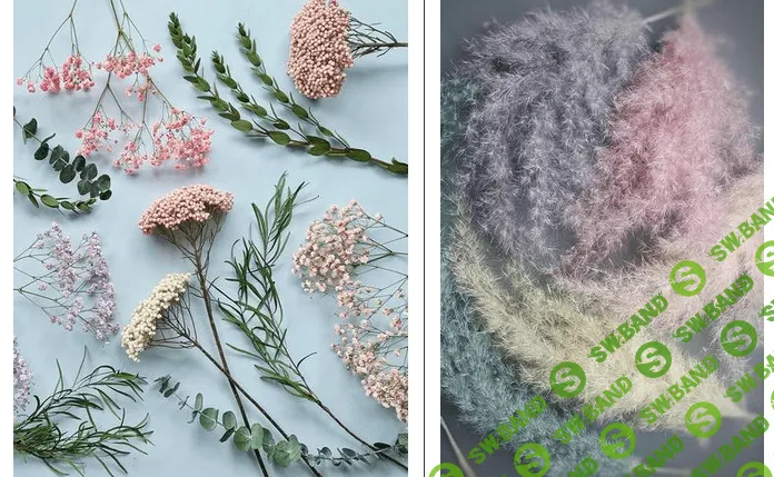 [Ольга Снегова] Стабилизация и окрашивание сухоцветов (2023)