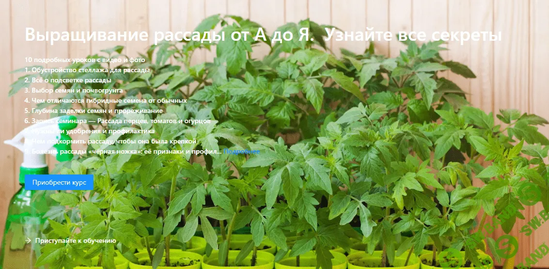 [Онлайн АгроЭкоШкола Садоводов] Выращивание рассады от А до Я. Узнайте все секреты (2023)