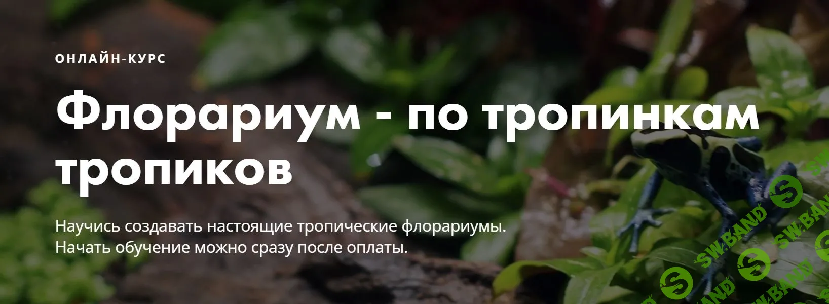 [Онлайн-школа «Мир за стеклом»] Флорариум - по тропинкам тропиков (2019)