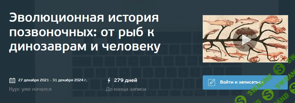 [OpenEDU] Эволюционная история позвоночных от рыб к динозаврам и человеку (2024)