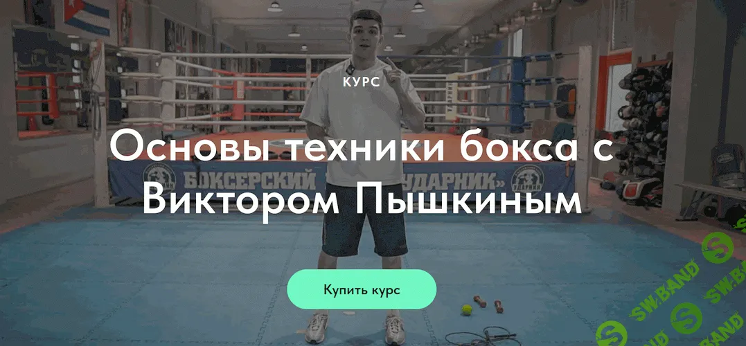 Основы техники бокса [trenerfight] [Виктор Пышкин]