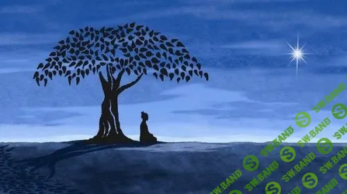 Осознанность