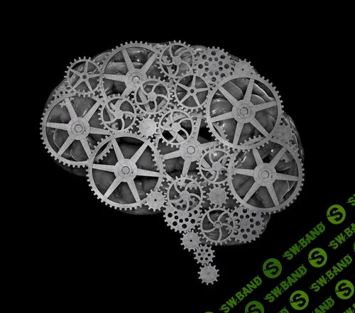 Освобождаем мозг на 100%. Отличные правила эффективности